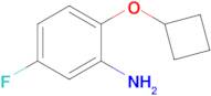 2-Cyclobutoxy-5-fluoroaniline