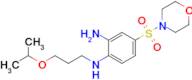 n1-(3-Isopropoxypropyl)-4-(morpholinosulfonyl)benzene-1,2-diamine