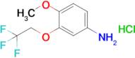 4-Methoxy-3-(2,2,2-trifluoroethoxy)aniline hydrochloride