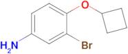 3-Bromo-4-cyclobutoxyaniline