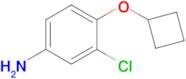 3-Chloro-4-cyclobutoxyaniline