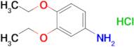 3,4-Diethoxyaniline hydrochloride