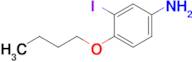 4-Butoxy-3-iodoaniline