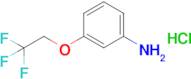 3-(2,2,2-Trifluoroethoxy)aniline hydrochloride