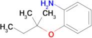 2-(Tert-pentyloxy)aniline