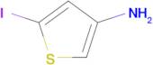 5-Iodothiophen-3-amine