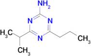4-Isopropyl-6-propyl-1,3,5-triazin-2-amine