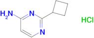 2-Cyclobutylpyrimidin-4-amine hydrochloride