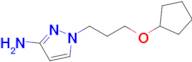 1-(3-(Cyclopentyloxy)propyl)-1h-pyrazol-3-amine