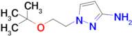 1-(2-(Tert-butoxy)ethyl)-1h-pyrazol-3-amine