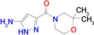 3-(2,2-dimethylmorpholine-4-carbonyl)-1H-pyrazol-5-amine