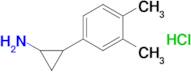 2-(3,4-Dimethylphenyl)cyclopropan-1-amine hydrochloride