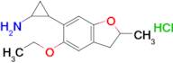 2-(5-Ethoxy-2-methyl-2,3-dihydrobenzofuran-6-yl)cyclopropan-1-amine hydrochloride