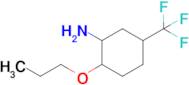 2-Propoxy-5-(trifluoromethyl)cyclohexan-1-amine