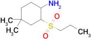 4,4-Dimethyl-2-(propylsulfonyl)cyclohexan-1-amine