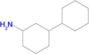 [1,1'-bi(cyclohexan)]-3-amine