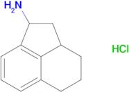 1,2,2A,3,4,5-hexahydroacenaphthylen-1-amine hydrochloride