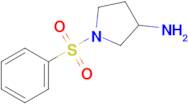 1-(Phenylsulfonyl)pyrrolidin-3-amine