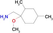 (1-Methoxy-2,4-dimethylcyclohexyl)methanamine