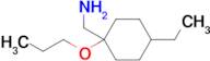 (4-Ethyl-1-propoxycyclohexyl)methanamine