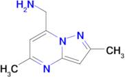 (2,5-Dimethylpyrazolo[1,5-a]pyrimidin-7-yl)methanamine