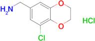 (8-Chloro-2,3-dihydrobenzo[b][1,4]dioxin-6-yl)methanamine hydrochloride