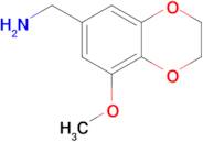 (8-Methoxy-2,3-dihydrobenzo[b][1,4]dioxin-6-yl)methanamine