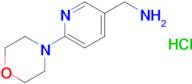 (6-Morpholinopyridin-3-yl)methanamine hydrochloride