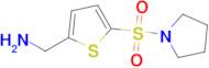 (5-(Pyrrolidin-1-ylsulfonyl)thiophen-2-yl)methanamine