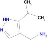 1-[5-(propan-2-yl)-1H-pyrazol-4-yl]methanamine