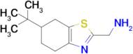 (6-(Tert-butyl)-4,5,6,7-tetrahydrobenzo[d]thiazol-2-yl)methanamine