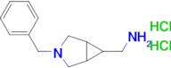 (3-Benzyl-3-azabicyclo[3.1.0]hexan-6-yl)methanamine dihydrochloride