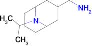 (9-Isopropyl-9-azabicyclo[3.3.1]nonan-3-yl)methanamine