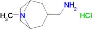 (8-Methyl-8-azabicyclo[3.2.1]octan-3-yl)methanamine hydrochloride