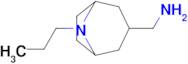 (8-Propyl-8-azabicyclo[3.2.1]octan-3-yl)methanamine