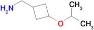 (3-Isopropoxycyclobutyl)methanamine