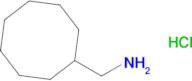 Cyclooctylmethanamine hydrochloride