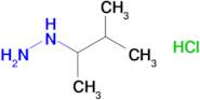 (3-Methylbutan-2-yl)hydrazine hydrochloride