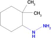 (2,2-Dimethylcyclohexyl)hydrazine