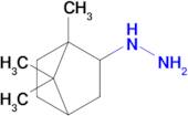 (1,7,7-Trimethylbicyclo[2.2.1]heptan-2-yl)hydrazine