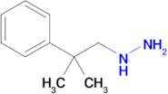 (2-Methyl-2-phenylpropyl)hydrazine