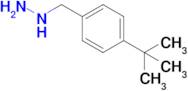 (4-(Tert-butyl)benzyl)hydrazine