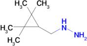 ((2,2,3,3-Tetramethylcyclopropyl)methyl)hydrazine