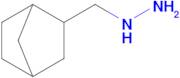 (Bicyclo[2.2.1]heptan-2-ylmethyl)hydrazine