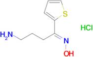 (E)-4-Amino-1-(thiophen-2-yl)butan-1-one oxime hydrochloride