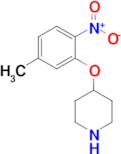 4-(5-Methyl-2-nitrophenoxy)piperidine