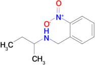 n-(2-Nitrobenzyl)butan-2-amine