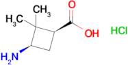 (1s,3r)-3-Amino-2,2-dimethylcyclobutane-1-carboxylic acid hydrochloride