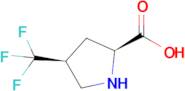 (2s,4s)-4-(Trifluoromethyl)pyrrolidine-2-carboxylic acid