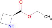 Ethyl (S)-azetidine-2-carboxylate